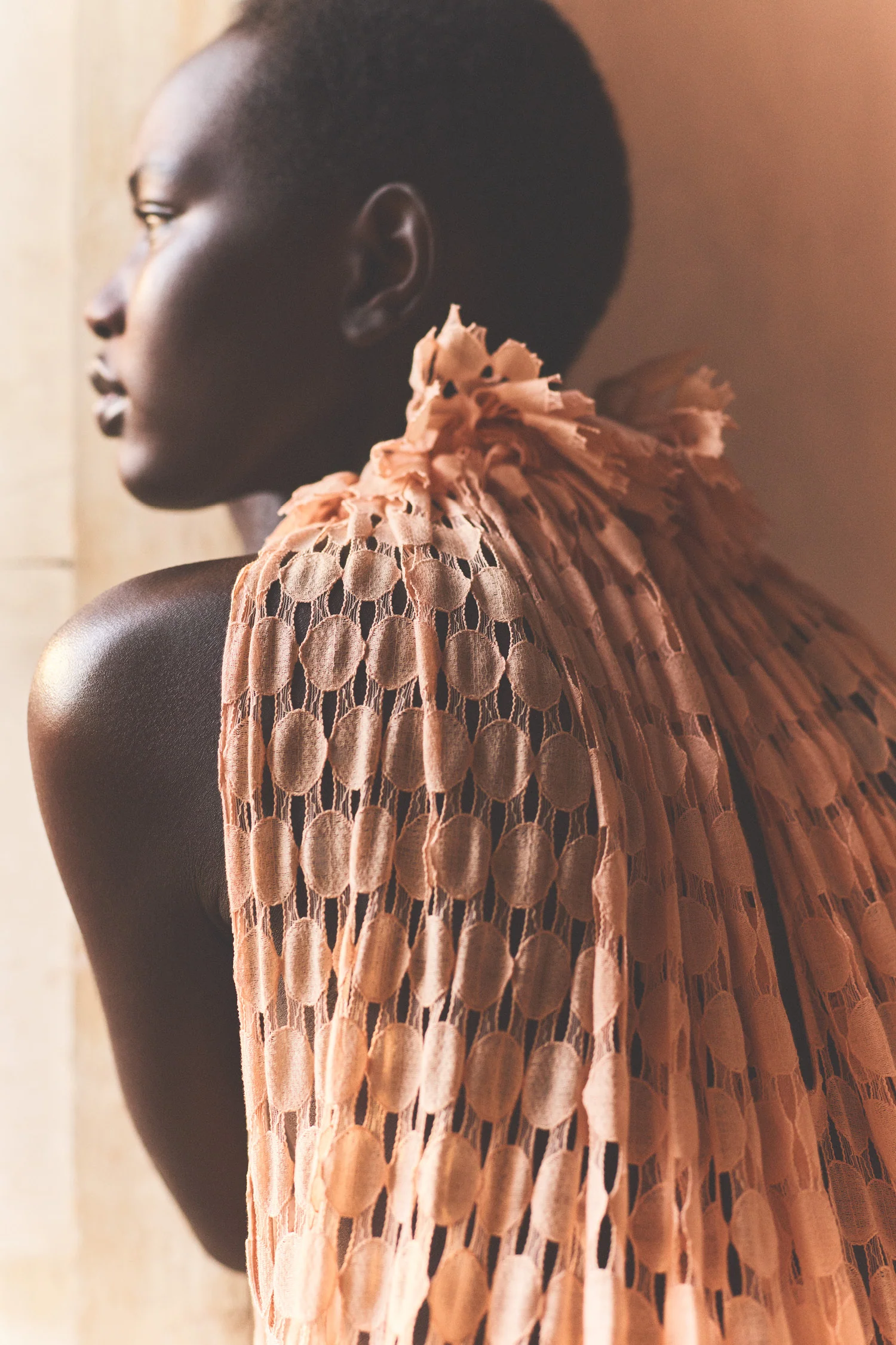 Anouk Lace High Neck Gown - Blush - Image 10