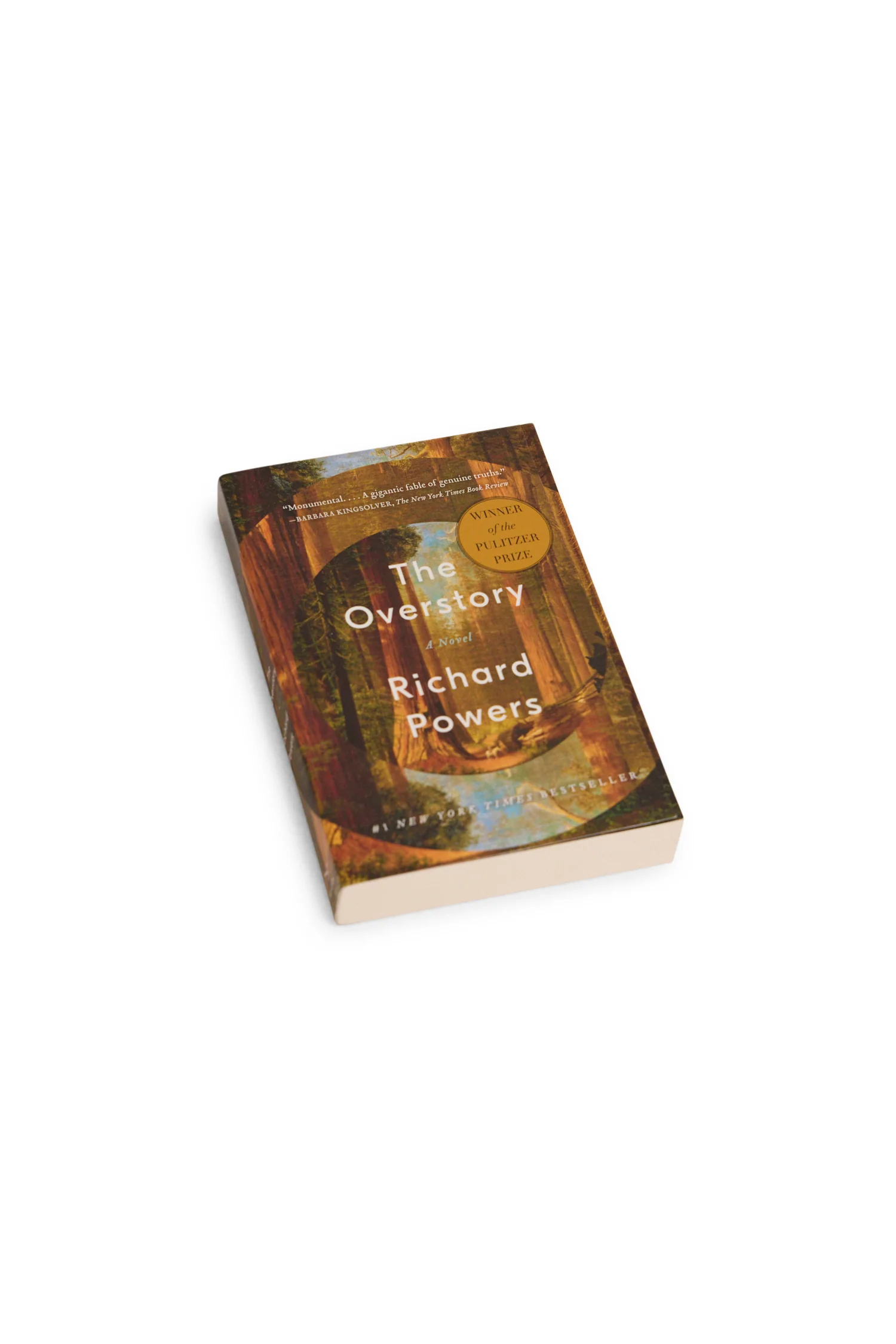 Book Bundle - Mixte - Image 5
