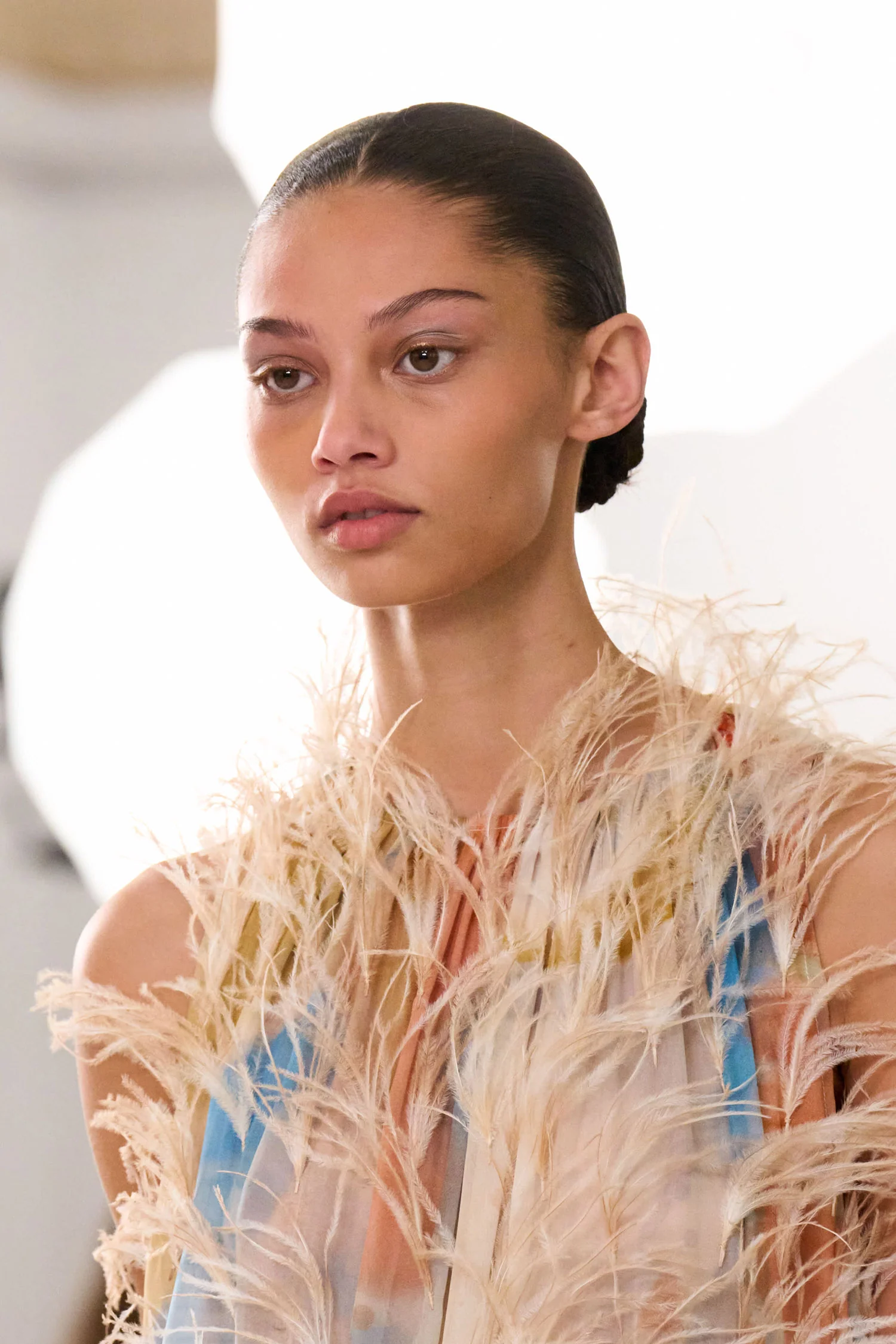 Gossamer Gown with Feather Embroidery - Western Dream - Image 6